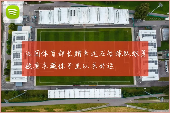 法国体育部长赠幸运石给球队球员被要求藏袜子里以求好运