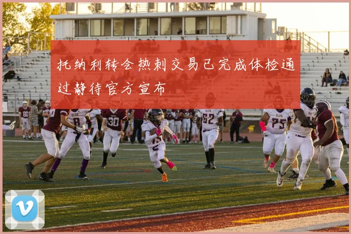 托纳利转会热刺交易已完成体检通过静待官方宣布